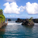 Image for article titled How To Live Off The Land In Paradise
